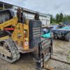 CAT 289D